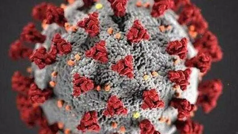 92 new COVID-19 cases detected in UP; total count 2,579