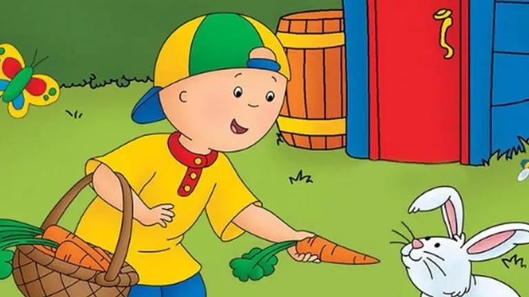 Why did Caillou have no hair? Here's the sweet message behind his baldness why did caillou have no hair