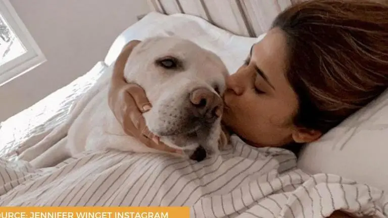 Jennifer Winget posts 'sun-kissed' pictures, mesmerised fans say 'That stare' Jennifer Winget