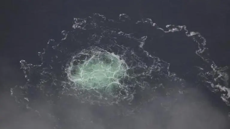 Facebook changes stance on Hersh's report, downgrades warning on it to 'partly false' Stream