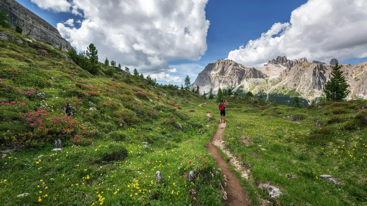 Planning To Trek To The Valley Of Flowers? Here’s A Complete Guide Valley Of Flowers Trek