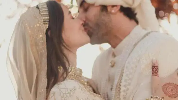 Description of the pic