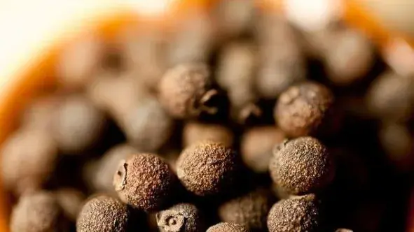 7 incredible benefits of Allspice you need to know for a healthier lifestyle 7 benefits of allspice