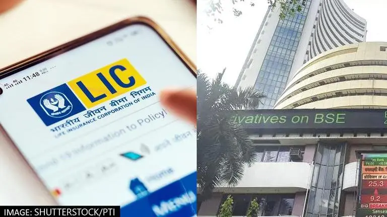 LIC IPO Allotment: How to check LIC IPO allotment status online? Check details LIC IPO