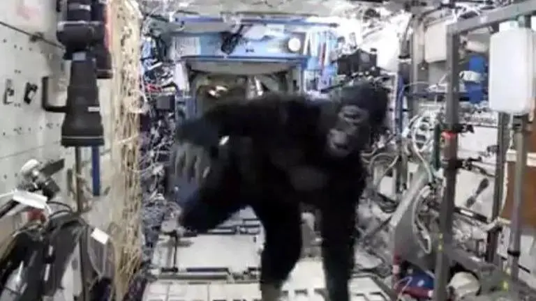 NASA astronaut smuggles gorilla suit into ISS to prank crew member, watch his reaction NASA