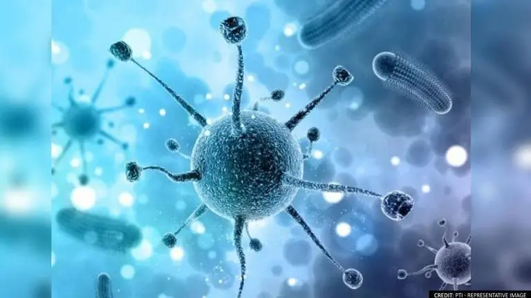 Nipah virus 'highly contagious', no 'specific treatment' available warns AIIMS expert Nipah