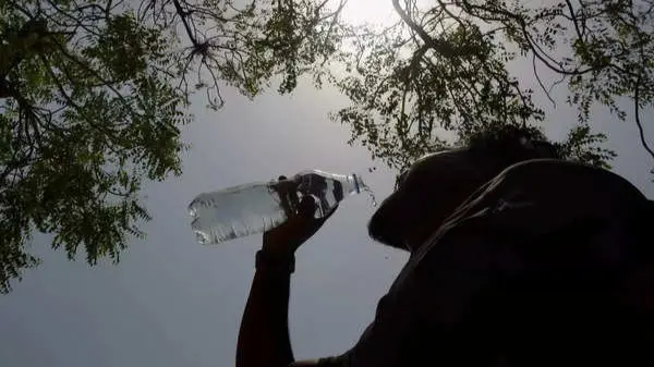 Delhi Records Maximum Temperature Of 35.1 Degree Celsius Delhi Records Maximum Temperature Of 35.1 Deg C