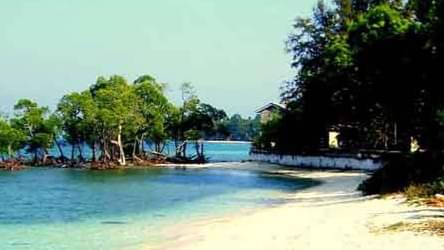 Description of the pic