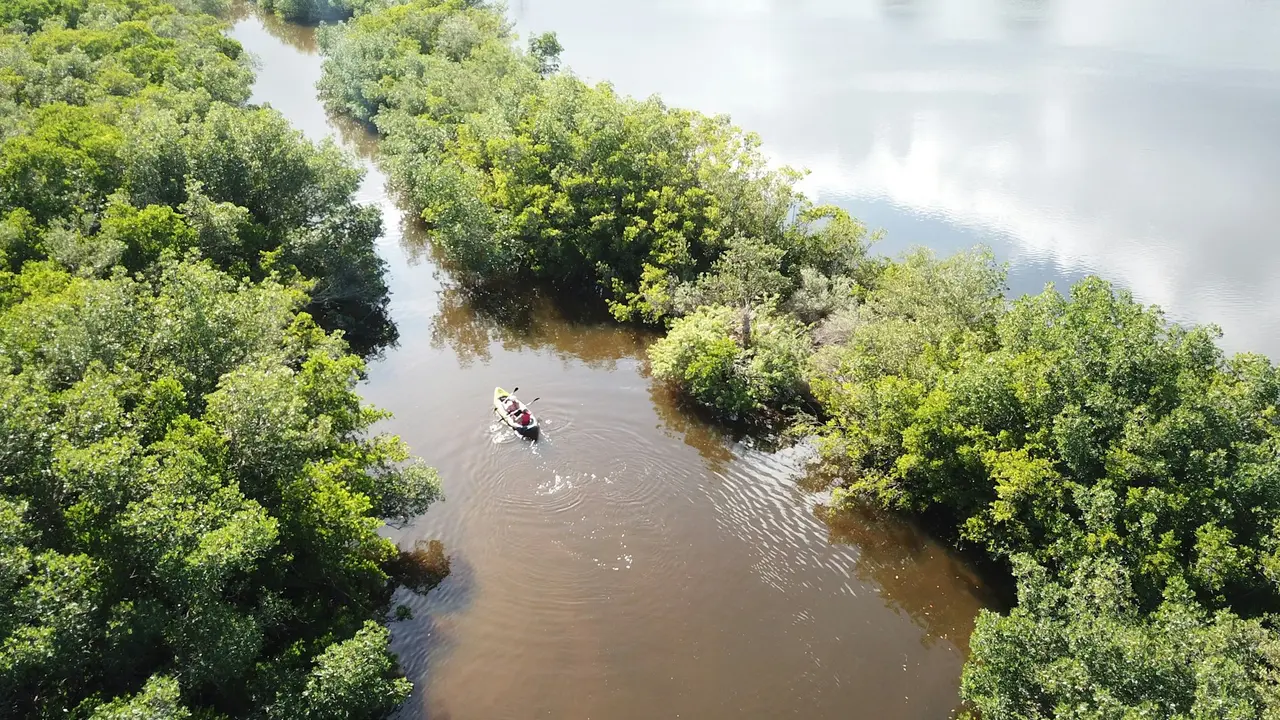 ITC partners with Inland Waterways Authority to transport FMCG products Waterway