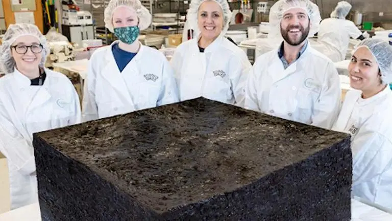 On National Brownie Day, US firm makes 385 kg pot-brownie inflused with 20,000 MG of THC Brownie