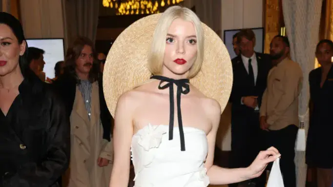 Description of the pic