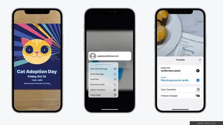 iPhone Live Text: How to detect text from images and camera app in Apple iPhone on iOS 15