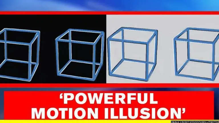 Optical illusion of 'moving' cubes baffles netizens; Elon Musk responds Optical Illusion