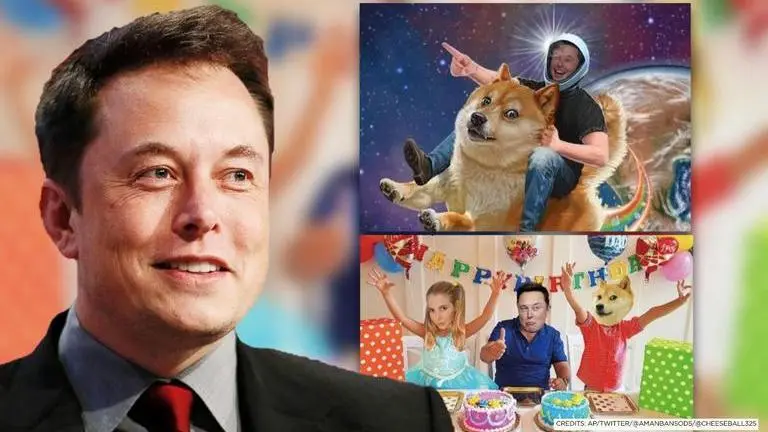 Elon Musk turns 50: Netizens wish 'Dogefather' with memes, Tesla CEO reveals what he wants Elon Musk