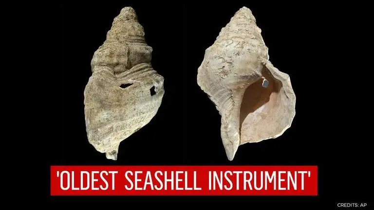 'Classic archaeology': Shell from French cave found to be pre-historic ...