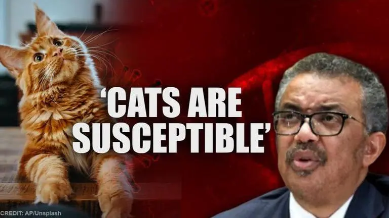 WHO confirms 'cats are susceptible to Coronavirus', says poultry, pigs not affected WHO