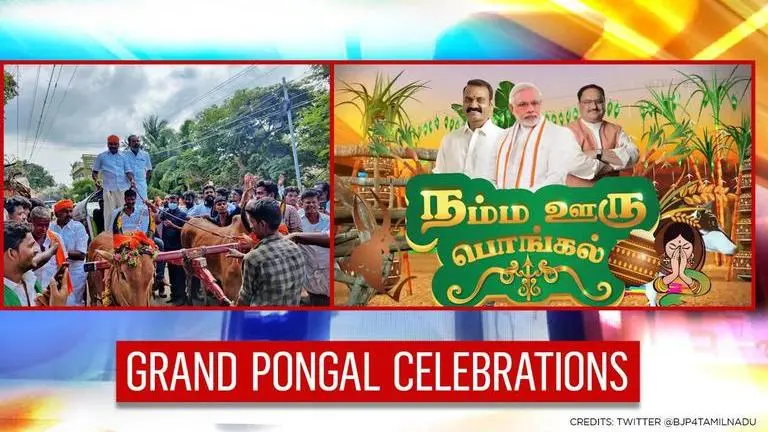 BJP organises grand Pongal celebrations in poll-bound Tamil Nadu after 'Vel Yatra' fiasco Pongal gifts