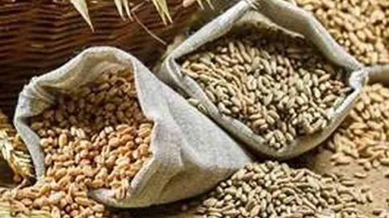Lockdown: Maha distributes 6.94 lakh quintals of food grains CORONAVIRUS