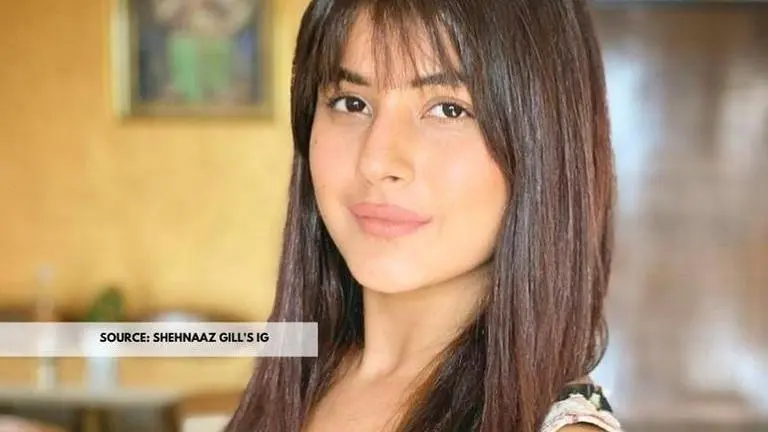 Shehnaaz Gill opens up about going to the gym, says 'Mai 2 baje toh uthti hu subah me' shehnaaz gill