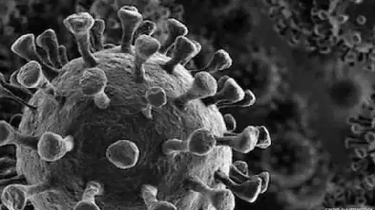 Coronavirus cases in Delhi climb to 1,893, death toll 43: Authorities