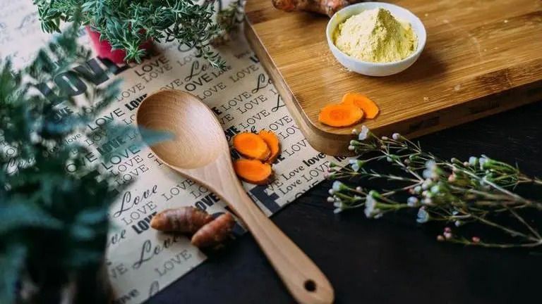 MoU signed with Sydney university to promote Ayurveda