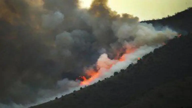 Devastating forest fires still burning in Siberia