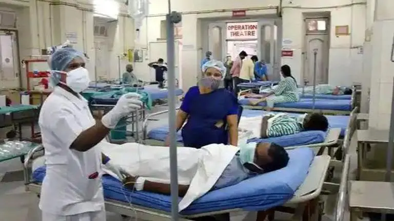 Indian scientists develop superior drug treatment for severe scrub typhus scrub typhus