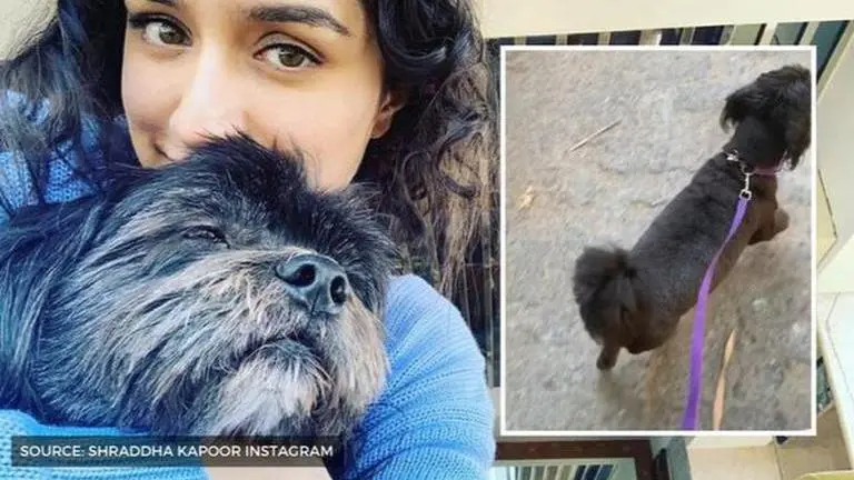 Shraddha Kapoor takes her dog Shyloh out for a walk, calls him 'Chotu Maharaj' Shraddha Kapoor
