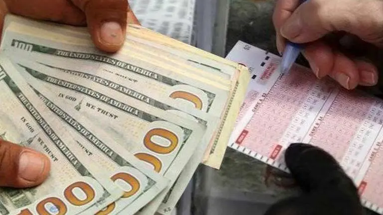 Indian expat wins AED 20 million or INR 45 crores in weekly UAE draw lottery rep