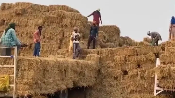 Revolutionizing sustainability: Hapur farmers transform stubble and sugarcane leaves into lucrative biomass briquettes