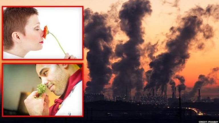 Long-term exposure to air pollution doubles the risk of smell loss ...