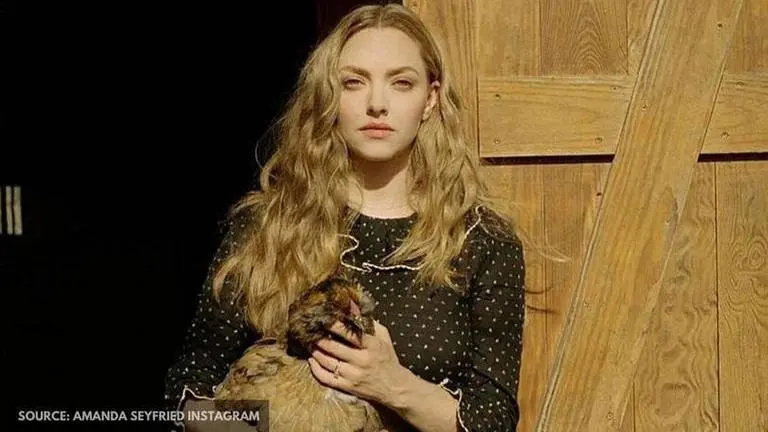 Amanda Seyfried reveals why she turned down Gamora's role in 'Guardians of the Galaxy' amanda seyfried