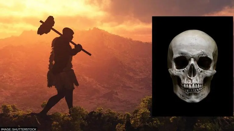 Scientists identify earliest case of disease spillover in Neanderthal man: Reports disease spillover