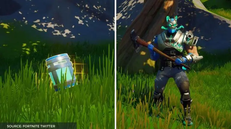 harvest fruits and vegetables