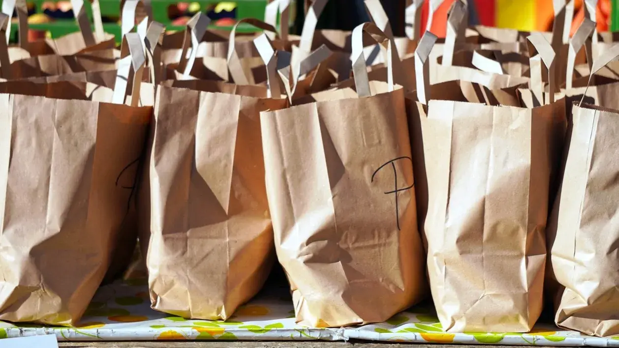 Can stores charge you for carry bags: Here’s all you need to know shopping paper bag