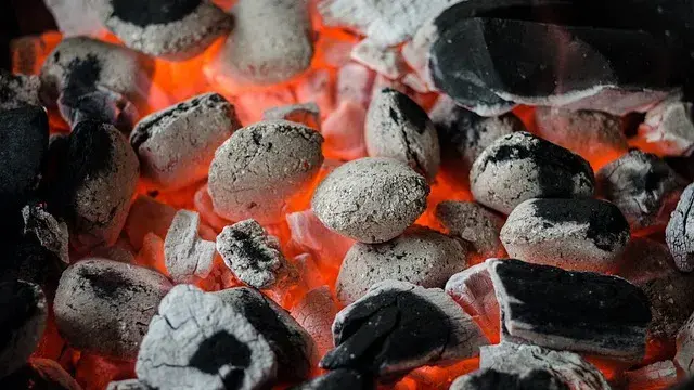 Index of coal industry achieved growth of 11% in Nov 2023: Govt Coal