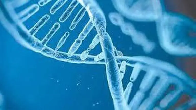 Gene mutation behind different COVID-19 death rates among Indian states, study finds