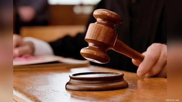 Delhi Court allows Nirbhaya convicts' lawyer to take a photocopy of convict's notebook Delhi