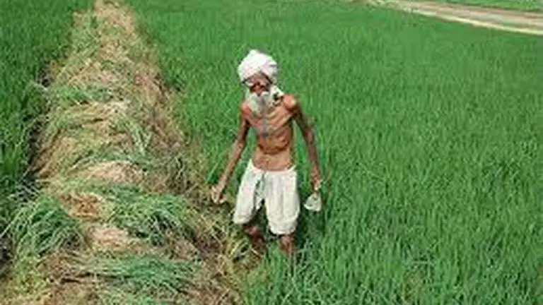 'Rajasthan govt to set up agri-processing unit in each district' agriculture