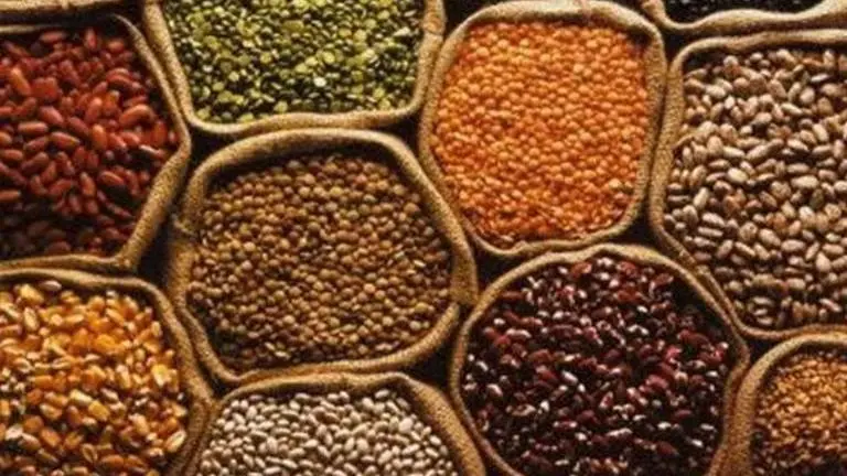 Centre leaves it to states to decide when to start pulse procurement amid lockdown Centre