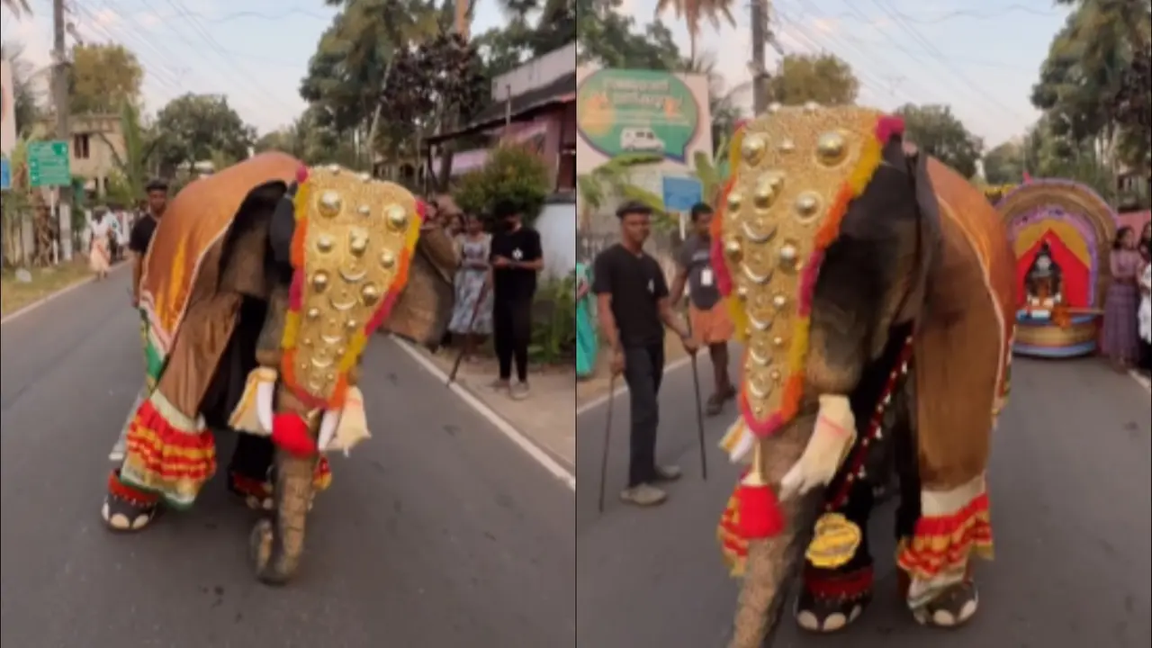 Viral Video: Mascot Dressed As Elephant Dances on Rajinikanth’s ‘Kaavaalaa’ | WATCH Viral Video Of Elephant Dancing On Rajinikanth’s ‘Kaavaalaa’