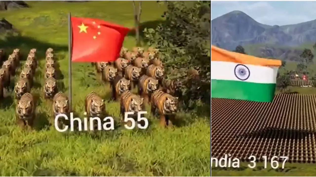 Viral Video Compares Tiger Population By Country, Know What Rank Does India Gets | WATCH Viral video with Tiger population comparison by country