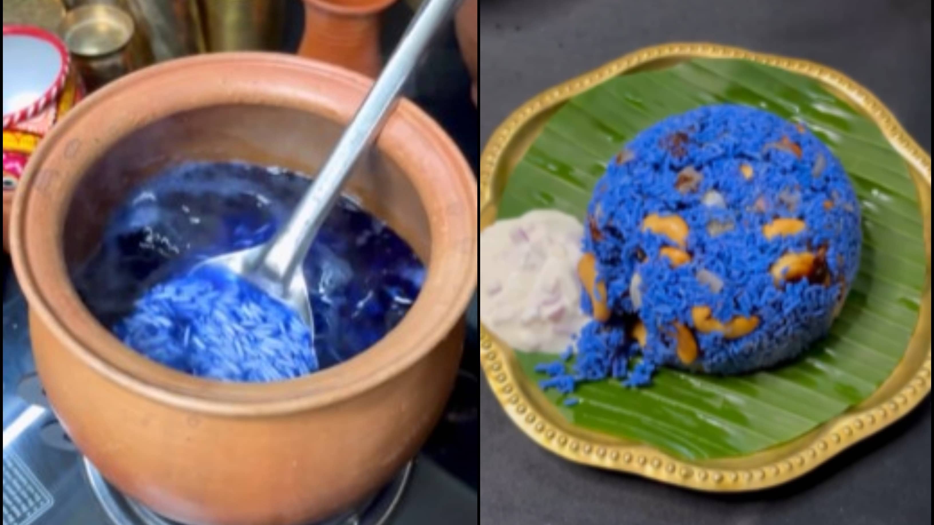 Vlogger Rice Viral Video: “Avtar Biryani,” Instagram Food Vlogger Made Butterfly Pea ...