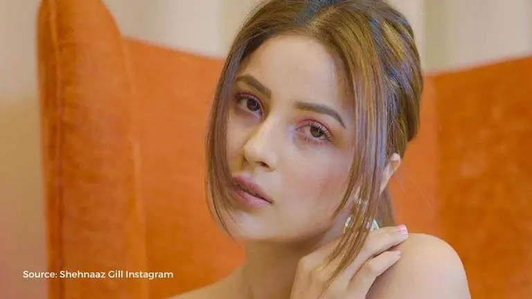 Shehnaaz Gill looks flawless in her new post, fan comments 'beautiful queen' shehnaaz gill