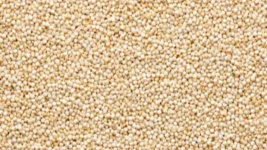 Quinoa