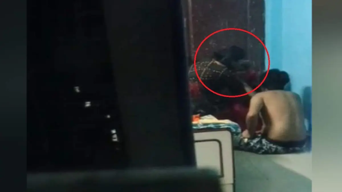 Bhopal Shocker: Couple Assaults 87-Year-Old Grandmother With Stick, Disturbing Video Emerges Bhopal Shocker: Couple Assaults 87-Year-Old Grandmother With Stick, Disturbing Video Emerges