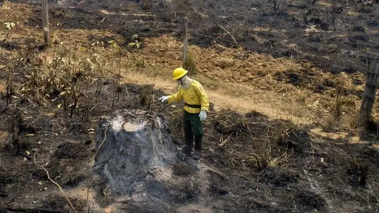 Brazil's Amazon burns despite government denial