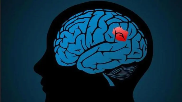 World brain tumour day 2020