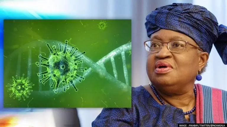 Omicron: WTO stresses on vaccine equality; says new variant likely to affect world economy Omicron