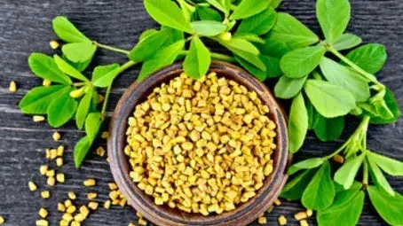 Description of the pic